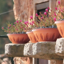 Pot de fleurs - ALBA - D 20 cm - Terracotta