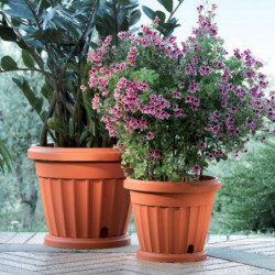 Pot de fleurs - ISIS - D 35 cm - Terracotta