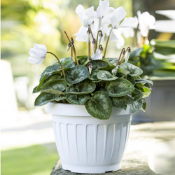 Pot de fleurs - TERRA - D 30 cm - Blanc