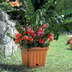 Pot de fleurs carré - TERRA - 40 x 40 cm - Terracotta