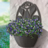 Pot de fleurs mural - GERLA PAGLIA - 32 x 16 cm - Anthracite