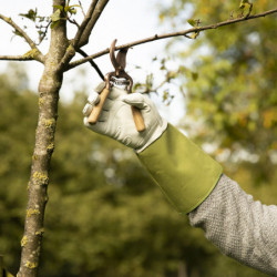 Gants de jardin en cuir résistant aux ronces et épines - Taille L