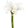 Bouquet de 8 arums artificiels - Blanc/Vert - H 36 cm