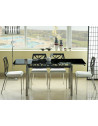 Table extensible 8 personnes - GD017 - 110-170 x 74 x 75 cm - Noir