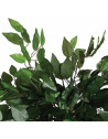 Ficus artificiel en pot - H. 120 cm