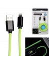 Câble de charge rapide - IPhone - Phosphorescent - L 2 M - Vert