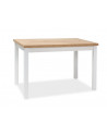 Table Adam - L 120 x l 68 x H 75 cm - Chêne Lancelot