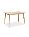 Table Brando - L 120 x l 60 x H 75 cm - Chêne