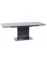 Table Pallas - L 160 x l 90 x H 76 cm - Gris