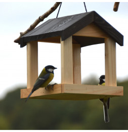 Mangeoire à oiseaux à suspendre - L 21,6 cm x l 22,2 cm x H 23,2 cm