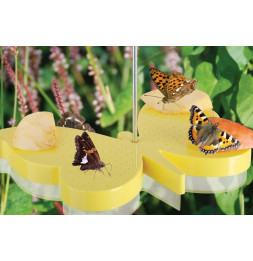 Mangeoire à papillons - L 16,7 cm x l 22,7 cm x H 22,7 cm - Jaune