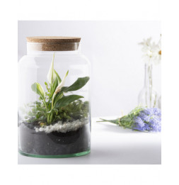 Bouteille terrarium avec couvercle - 7 L