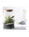 Bouteille terrarium avec couvercle - 7 L