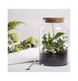 Bouteille terrarium avec couvercle - 7 L