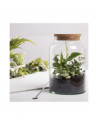 Bouteille terrarium avec couvercle - 7 L