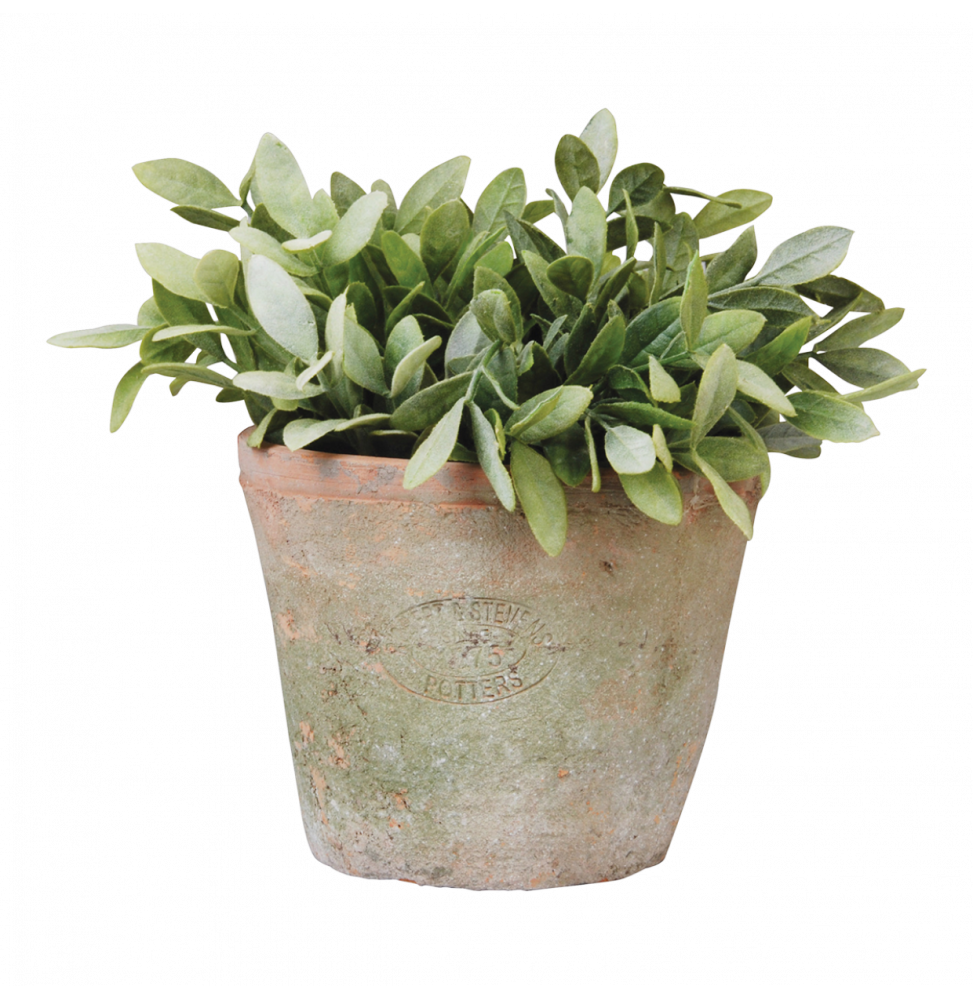 Pot pour plantes en terre cuite - D 16,3 cm x H 12 cm