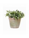 Pot pour plantes en terre cuite - D 16,3 cm x H 12 cm