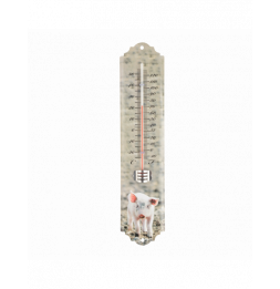 Thermomètre - L 1,4 cm x l 6,7 cm x H 29,7 cm - Modèle aléatoire